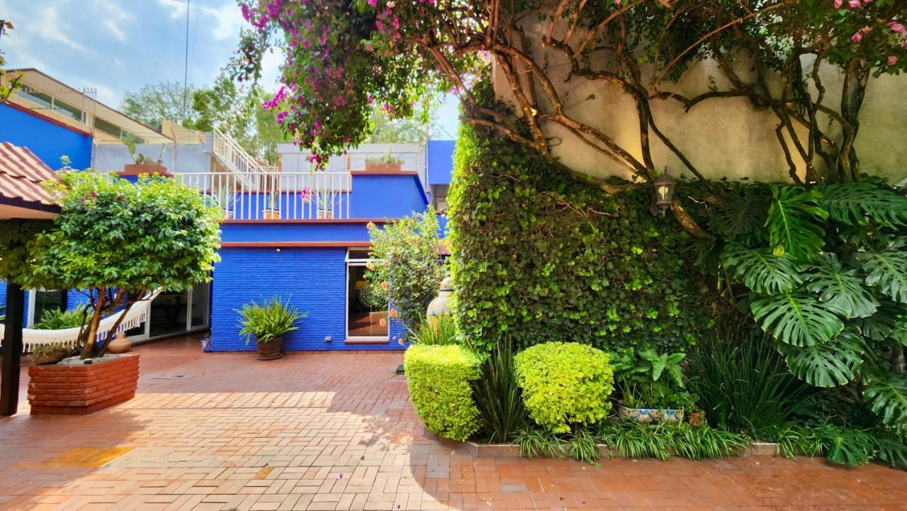Casa Tamayo México DF Exterior foto